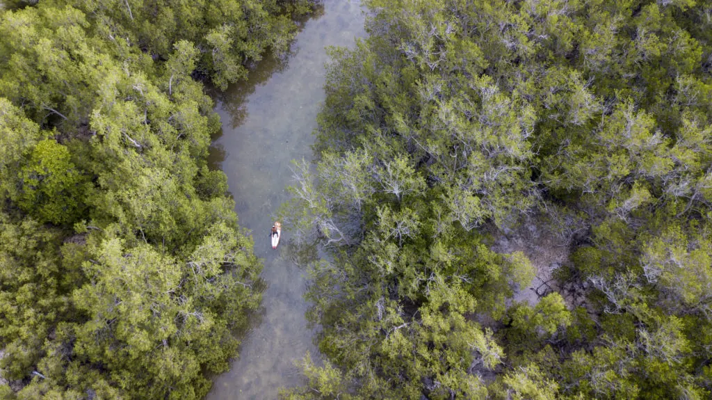 Aerial view of paddle boarding through the mangroves near Manduna Resort