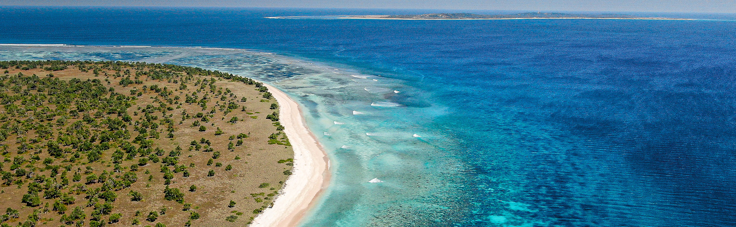 Surf - Indonesia - Rote Island