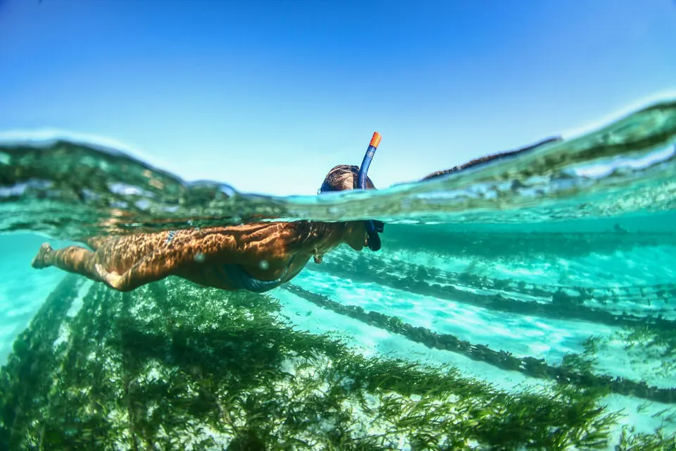 Snorkelling in clear turquoise water off Rote Island